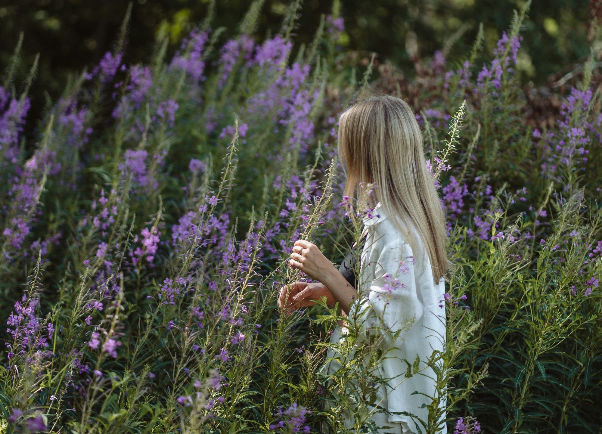 Can These Plant Medicines Reverse Your Dark Depression and Sadness?